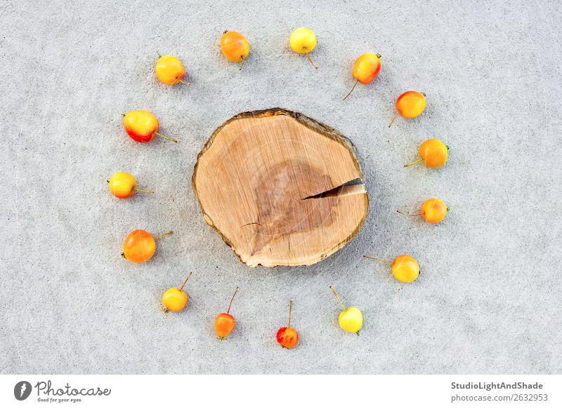 Apple tree stump with copy space surrounded by cherry apples Fruit Summer Garden Gardening Nature Autumn Tree Concrete Wood Bright Small Natural Wild Yellow