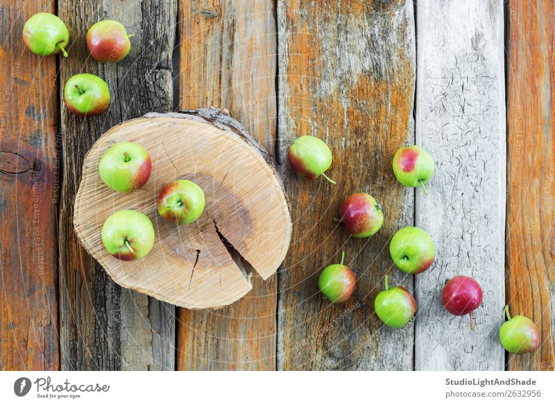 Apple tree stump and apples on rustic wooden background Fruit Beautiful Summer Garden Gardening Nature Autumn Tree Wood Old Natural Retro Wild Brown Green Red