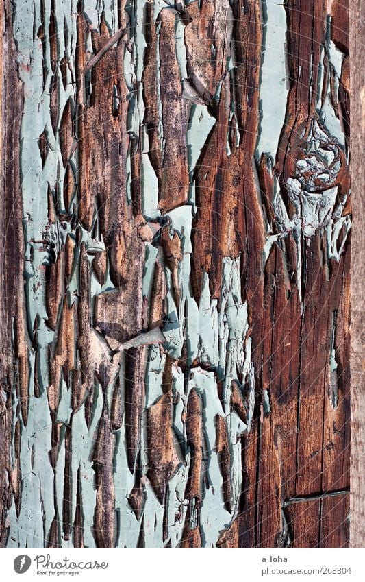 structure 3.3 Wood Line Old Broken Blue Brown Decline Transience Destruction Varnished Turquoise board Colour photo Exterior shot Detail Abstract Pattern