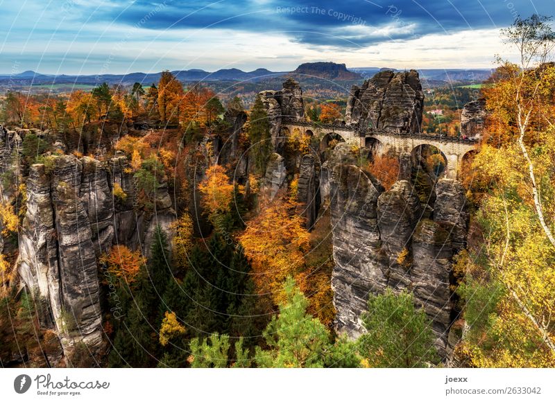 Elbe. Sand. Stone. Nature Landscape Autumn Beautiful weather Forest Mountain Wall (barrier) Wall (building) Tourist Attraction bastei bridge Tall Blue Brown