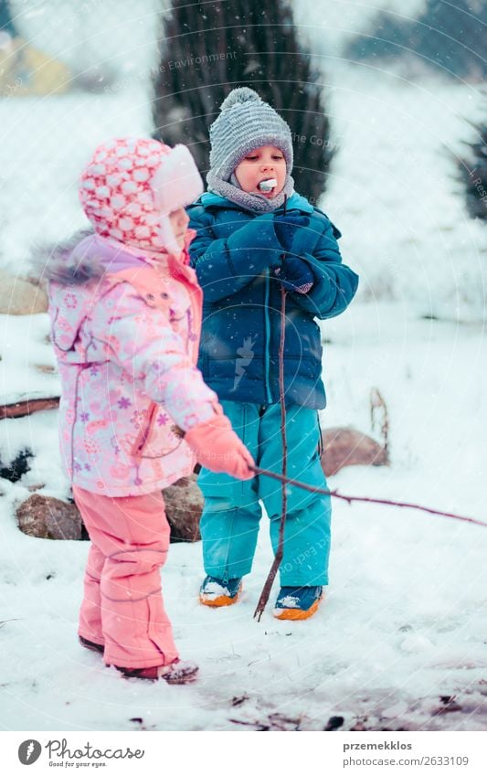 Children enjoying marshmallows prepared over campfire Lifestyle Joy Happy Winter Snow Winter vacation Human being Girl Boy (child) Brothers and sisters Sister