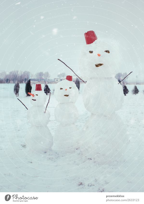 Three snowmen standing in the garden Lifestyle Joy Winter Snow Snowfall Freeze To enjoy Make Cute White Cold Backyard enjoyment Seasons snowing Snowman stick