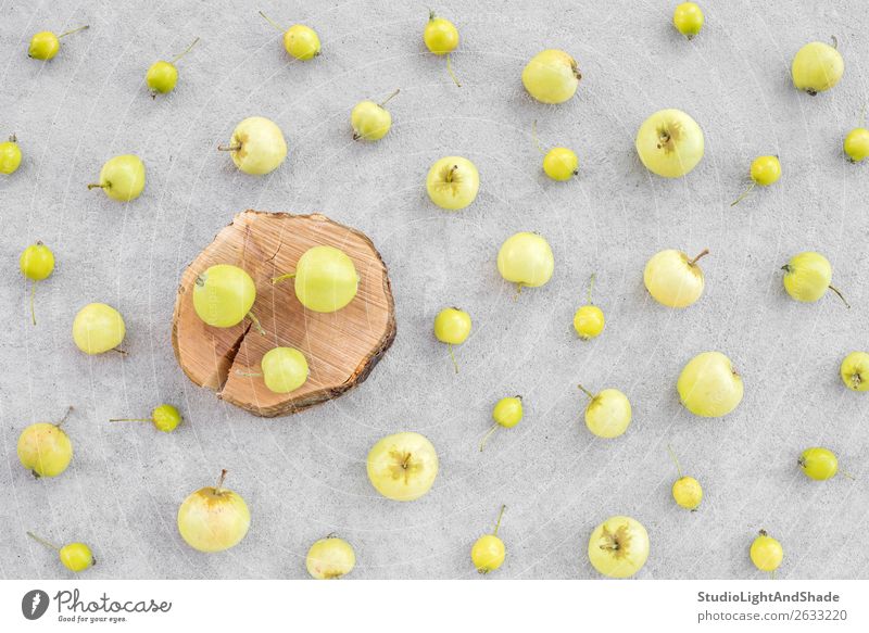 Wild apples and apple tree stump on concrete background Fruit Apple Summer Garden Gardening Nature Autumn Tree Concrete Wood Natural Yellow Gray Green Colour