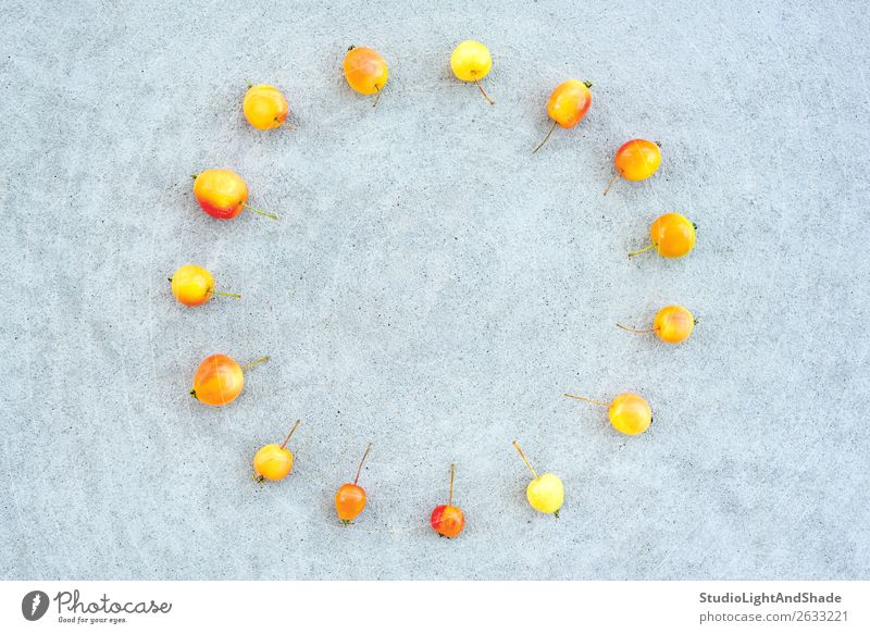 Circle of wild cherry apples on concrete background Fruit Apple Summer Sun Garden Clock Gardening Nature Autumn Tree Concrete Bright Small Natural Wild Yellow