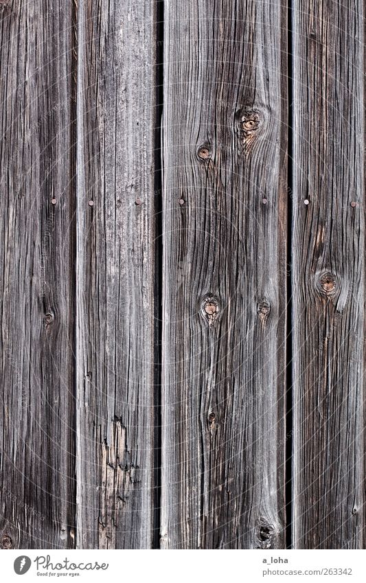 i wish i were pinocchio Wood Line Old Original Dry Brown Gray Nostalgia Pure Attachment Knothole Wooden board Nail Gate Colour photo Subdued colour