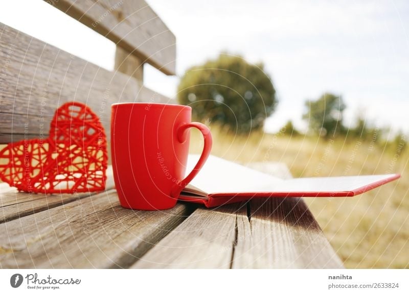 Red mug with coffee in a wooden bench outdoors in the morning Breakfast Hot drink Coffee Tea Winter Book Autumn Warmth Heart Delicious cup sunny fall Rustic