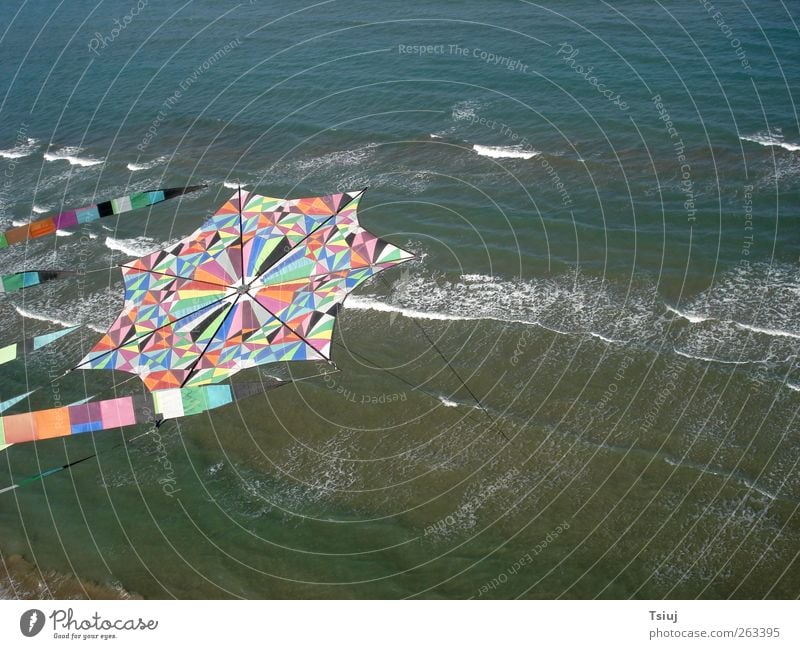 Flight with the kite Summer Ocean Waves kite flying Kite Flying Aerial photograph Patchwork Multicoloured Colour photo Exterior shot Deserted