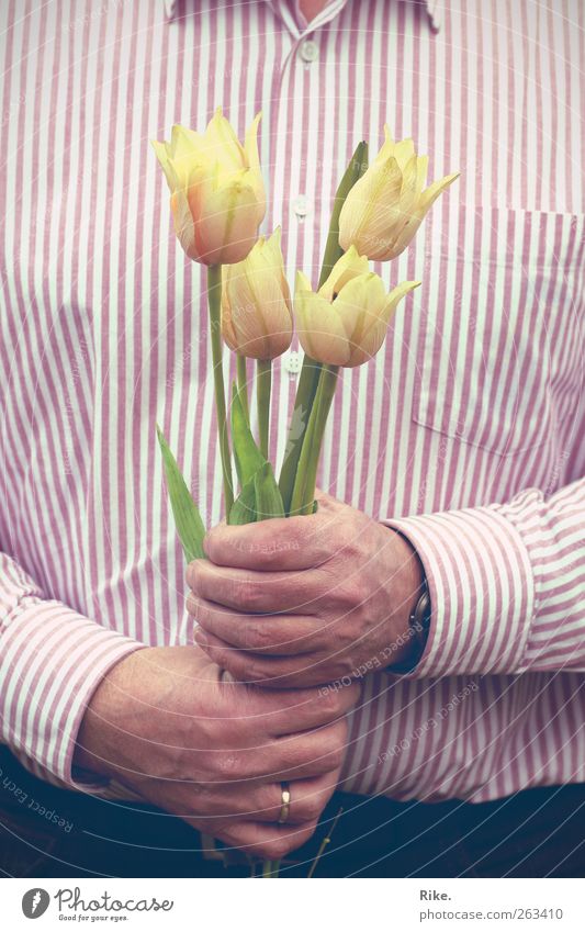 Thank you... Human being Masculine Man Adults Hand 1 45 - 60 years Plant Flower Tulip Blossom Shirt Ring Blossoming Friendliness Beautiful Romance Grateful