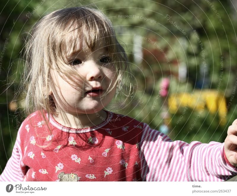 explorer of the world Feminine Child girl Head Hair and hairstyles Face sleeves 1 Human being 1 - 3 years Toddler Nature Beautiful weather Garden Observe
