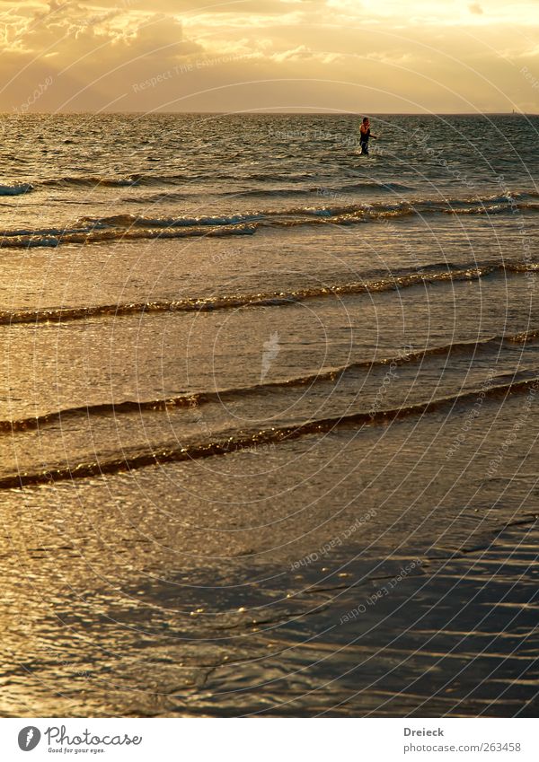 paddling pool Beach Ocean Waves Swimming & Bathing 1 Human being Water Drops of water Clouds Sunrise Sunset Sunlight Summer Coast Dive Wet Warmth Brown Yellow