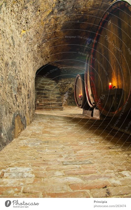 In the wine cellar ... Wine Wine cellar Stone Wood To enjoy Candlelight stone cellar Cellar arch Colour photo Interior shot Copy Space bottom