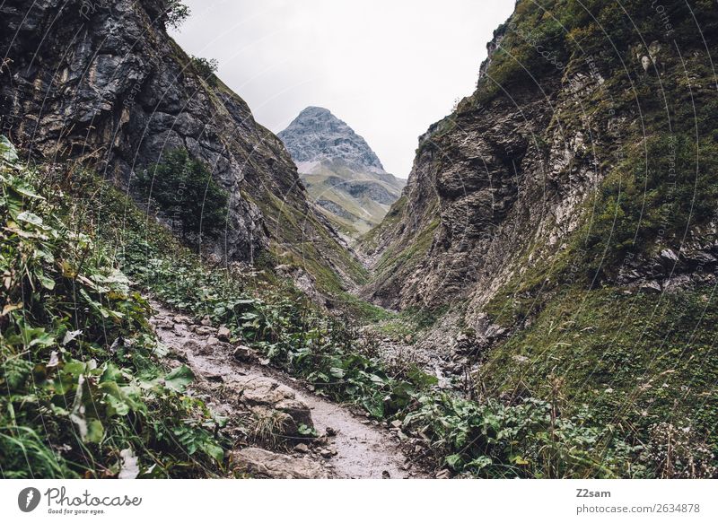 Ascent to the Kemptner Hut Mountain Hiking Nature Landscape Bad weather Alps Peak Gigantic Natural Green Adventure Leisure and hobbies Idyll Vacation & Travel