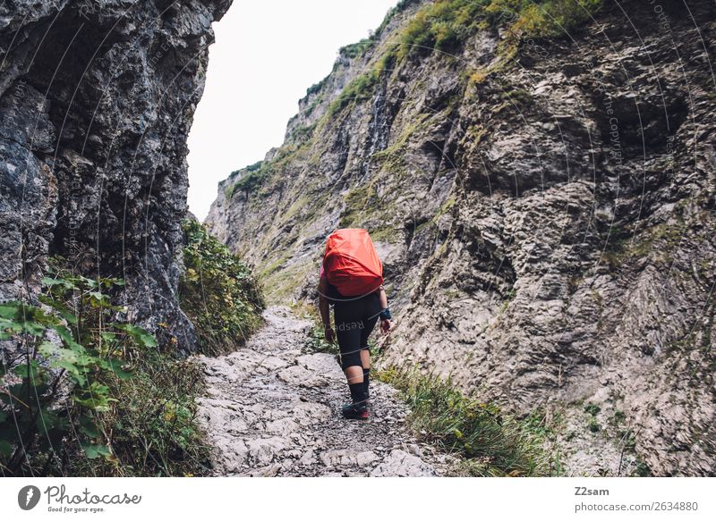 alpine crossing Vacation & Travel Hiking Young woman Youth (Young adults) 18 - 30 years Adults Nature Landscape Bad weather Rock Alps Mountain Backpack