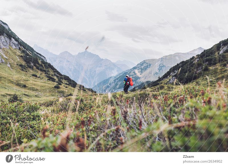 Descent to Holzgau | Alpine crossing Vacation & Travel Adventure Hiking Young woman Youth (Young adults) Nature Landscape Beautiful weather Grass Meadow Alps