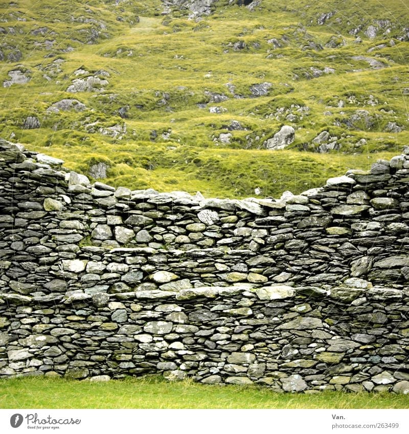Mau(r)erwerk Environment Landscape Plant Grass Meadow Hill Rock Ireland Ruin Wall (barrier) Wall (building) Stone wall Old Gray Green Protection Colour photo