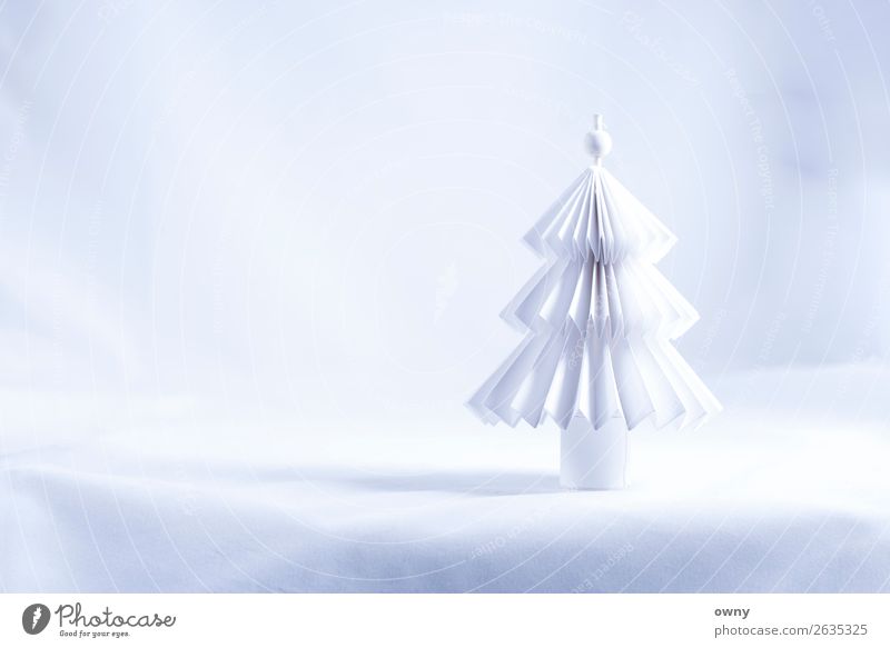 white tree Environment Landscape Winter Ice Frost Snow Tree Deserted Paper Feasts & Celebrations Bright Clean White Emotions Moody Love Belief Design