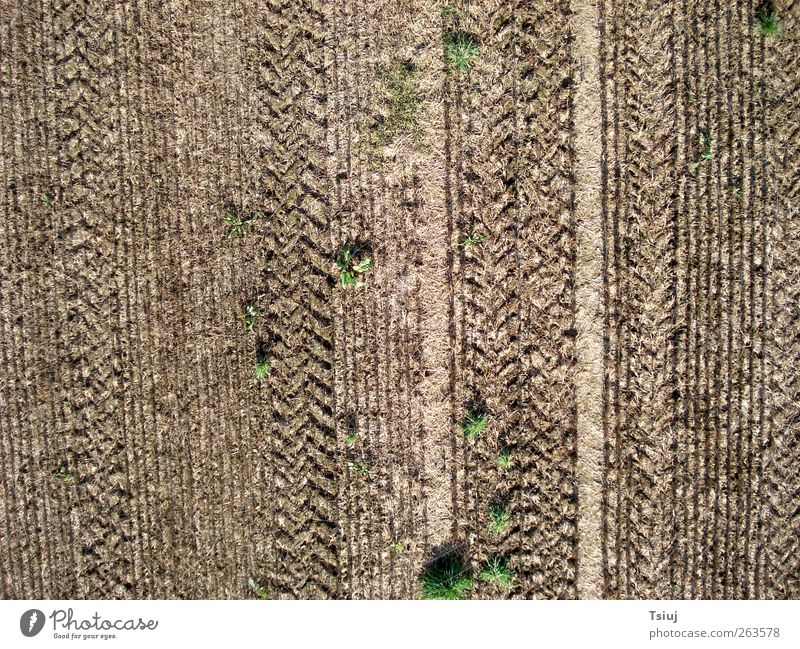 acreage Landscape Grass Field Tractor Perspective Cape Kite Aerial Photography Aerial photograph Furrow Line Skid marks Agriculture Colour photo Exterior shot