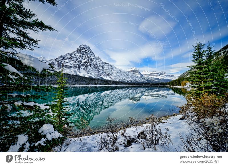 frost whisper Nature Landscape Plant Elements Earth Water Sky Clouds Beautiful weather Tree Bushes Rock Snowcapped peak Lakeside Observe Looking Exceptional