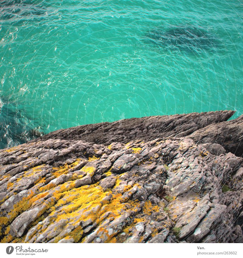 leap into the blue Vacation & Travel Summer vacation Environment Nature Water Moss Rock Waves Coast Ocean Stone Fresh Wet Blue Yellow Gray Turquoise