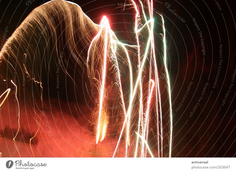 Fireworks skeleton Air Brown Gold Black Firecracker Long exposure New Year's Eve Colour photo Deserted Copy Space right Night Light (Natural Phenomenon)
