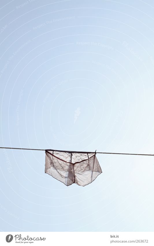 gentle breeze... Carnival Environment Nature Elements Air Sky Cloudless sky Climate Beautiful weather Clothing Underwear Hang Wet Above Clean Eroticism Dry Blue
