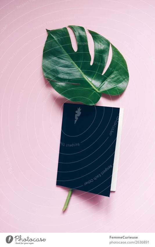 Stem and leaf of a monstera lying in a book Stationery Paper Creativity Monstera Book Pink Black Design Modern Green Leaf Stalk Plant Part of the plant