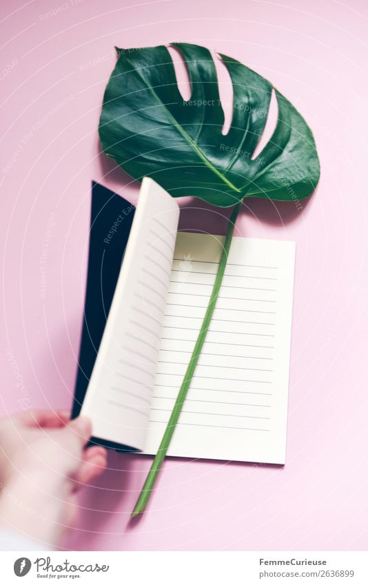 Stem and leaf of a monstera lying in a book Stationery Paper Esthetic Notebook Empty Lined Monstera Leaf Stalk Pink Pastel tone Decoration Plant Creativity