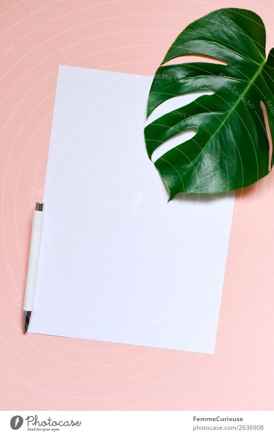 Paper & the leaf of a monstera on salmon-colored background Stationery Piece of paper Creativity Monstera Plant Part of the plant Ballpoint pen Pink