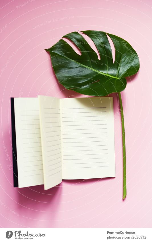 Stem and leaf of a monstera lying next to a book Nature Communicate Reading Write Book Notebook Pink White Monstera Leaf Stalk Plant Part of the plant Modern