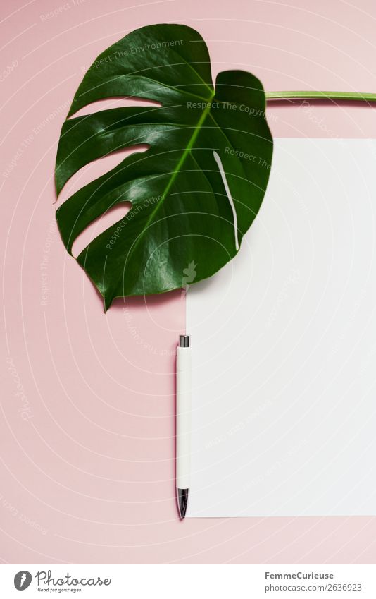White sheet of paper & the leaf of a monstera on pink background Lifestyle Stationery Paper Piece of paper Creativity Monstera Pink Green Ballpoint pen Empty