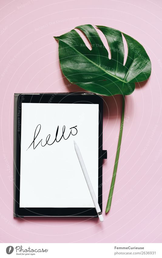 Tablet with a handwritten "hello" on pink background Technology Entertainment electronics Advancement Future Internet Creativity Tablet computer Pink White