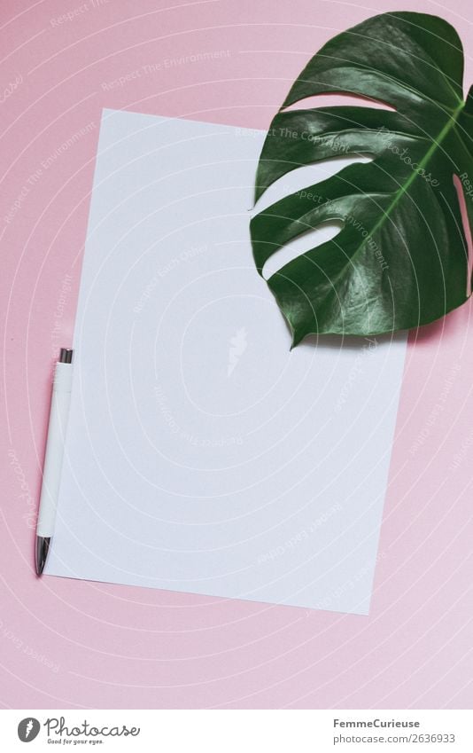 White sheet of paper & the leaf of a monstera on pink background Style Communicate Paper Stationery Ballpoint pen Monstera Leaf Plant Decoration Pink