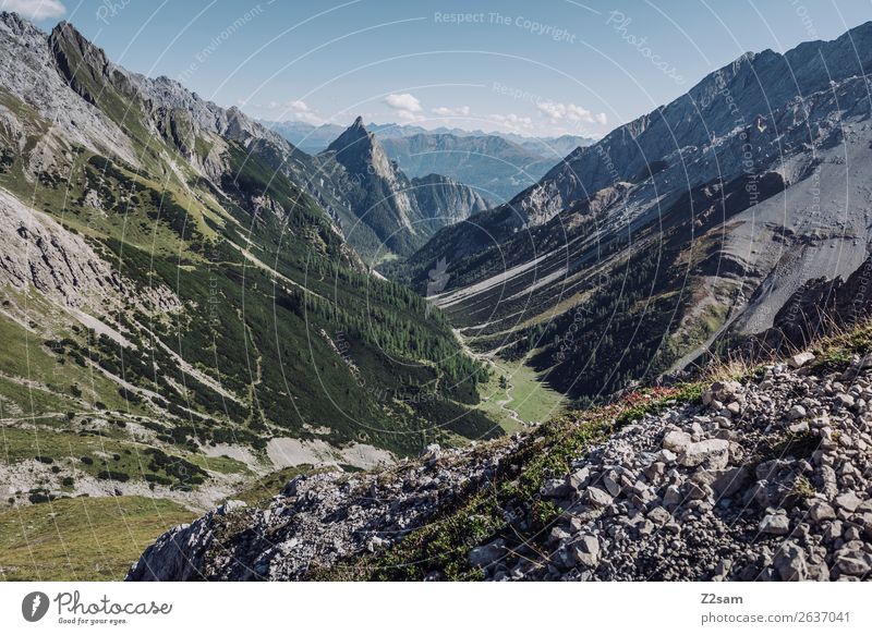 Descent to Zams | Alpine crossing | E5 Adventure Mountain Hiking Nature Landscape Summer Beautiful weather Forest Alps Gigantic Tall Blue Green Loneliness