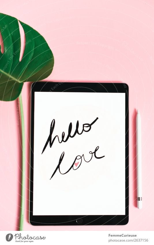 Tablet with a handwritten "hello love" on pink background Lifestyle Technology Entertainment electronics Advancement Future Creativity Tablet computer Monstera
