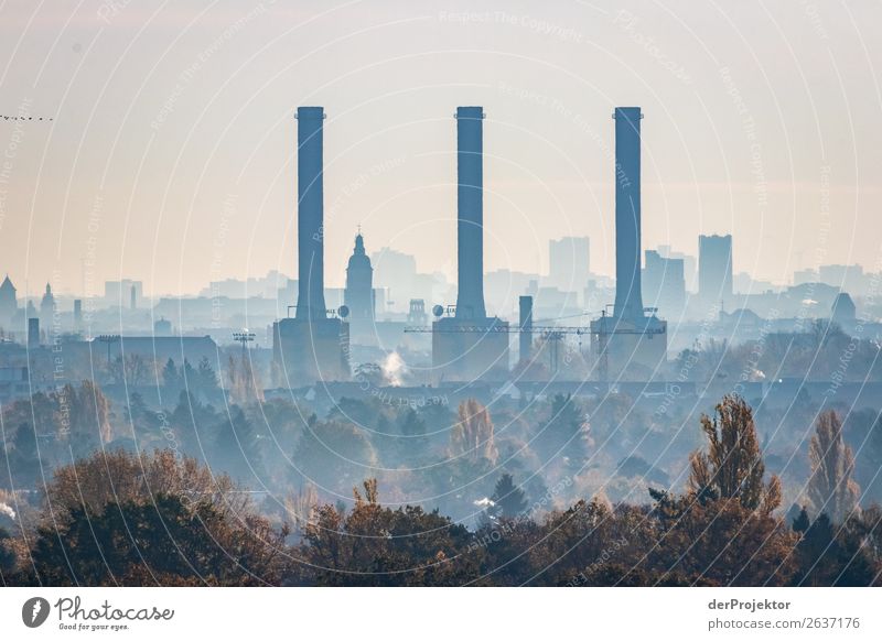 Autumn panoramic view of Berlin III Central perspective Deep depth of field Sunbeam Sunlight Shadow Light Morning Copy Space middle Copy Space bottom