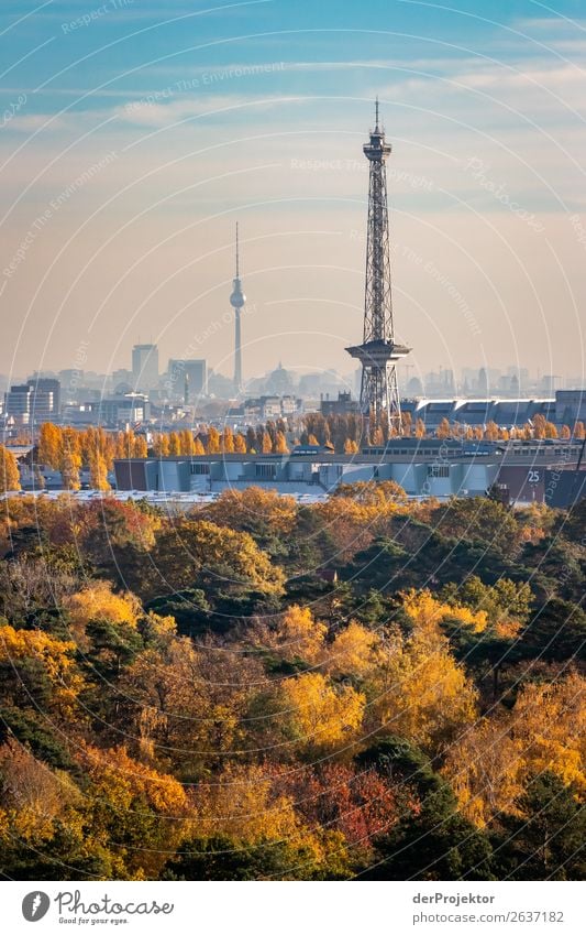 Radio tower and television tower on a photo in autumn Vacation & Travel Trip Adventure Freedom Sightseeing City trip Mountain Hiking Environment Landscape
