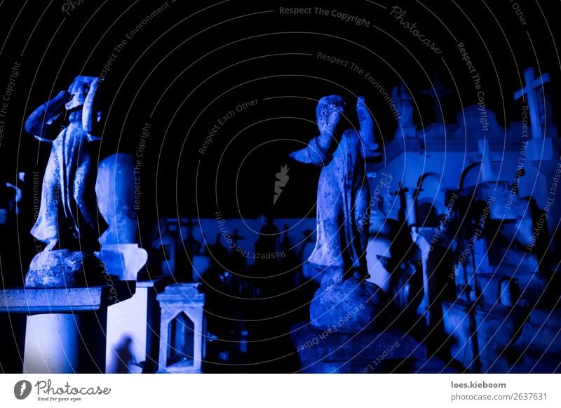 Two Angel statues at blue lightened tombstones during dawn Hallowe'en Tourist Attraction Creepy Gloomy Blue Death Pain Religion and faith graveyard Mérida