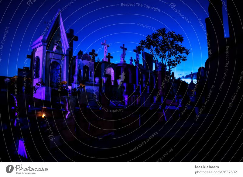 Blue and pink lightened tombstones during dawn Hallowe'en Tourist Attraction Creepy To console Pain Religion and faith Death graveyard Mérida Mexico