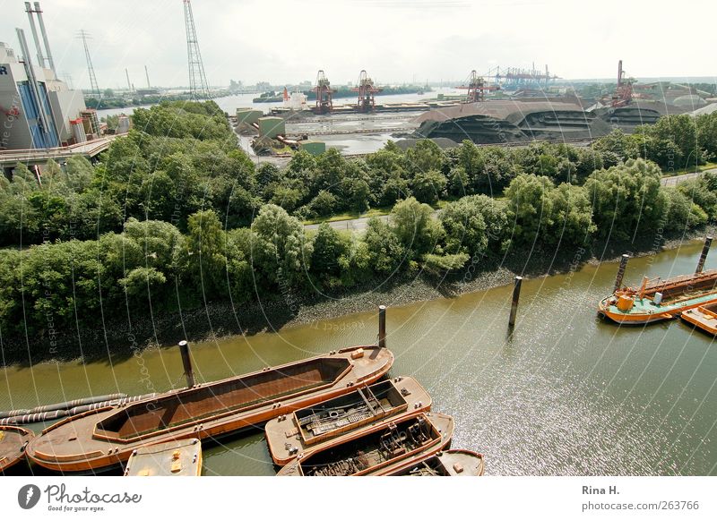 Port of Hamburg Industry Summer Tree River Port City Navigation Inland navigation Watercraft Harbour Authentic Elbe Economy Ore Colour photo Deserted