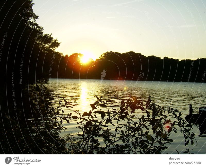 Sunset in Ascheberg Relaxation Trip Far-off places Lakeside Environment Nature Plant Water Sky Sunrise Summer Park Forest To enjoy Romance Colour photo