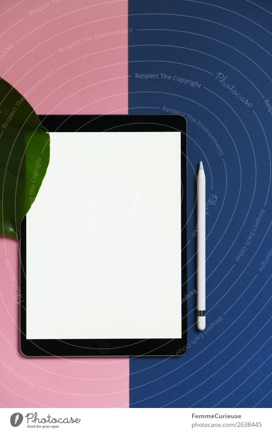 Tablet on pink and blue background Technology Entertainment electronics Advancement Future Stationery Paper Piece of paper Communicate Tablet computer Monstera