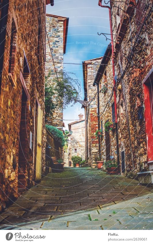 Tuscan village Vacation & Travel Tourism Castelnuovo di Val di Cecina Italy Europe Village Old town House (Residential Structure) Manmade structures Building