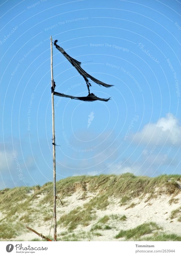 Like my hair in the wind. Vacation & Travel Summer Nature Landscape Sand Sky Clouds Beautiful weather Beach North Sea Wood Simple Blue Black Emotions Flag