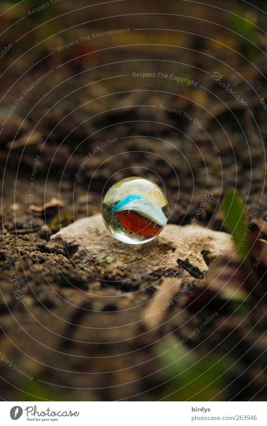 Pelle`s marble Earth Plant Stone Esthetic Authentic Round glass marble Marble Children's game Considerable Discovery Glass ball Sphere Colour photo