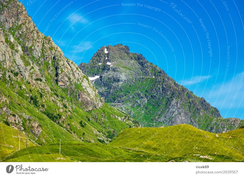 Mountains in Lofoten, Norway Relaxation Vacation & Travel Tourism Summer Environment Nature Landscape Clouds Climate Weather Grass Meadow Rock Blue Green Idyll