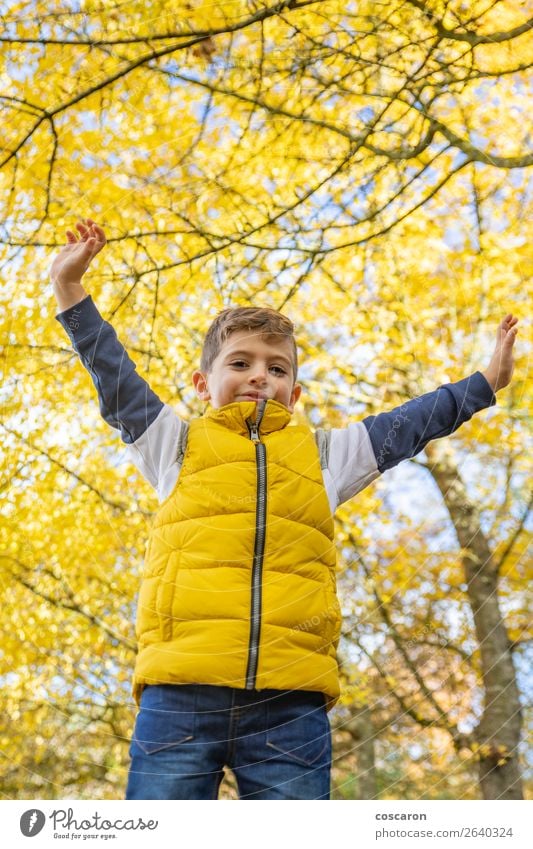 Cute kid against a yellow tree in autumn Lifestyle Joy Happy Beautiful Leisure and hobbies Vacation & Travel Freedom Child Human being Baby Toddler Boy (child)