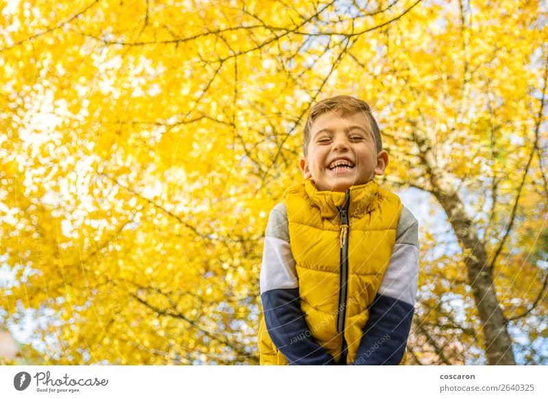 Cute kid against a yellow tree in autumn Lifestyle Joy Happy Beautiful Leisure and hobbies Freedom Child Human being Baby Toddler Boy (child) Man Adults Infancy