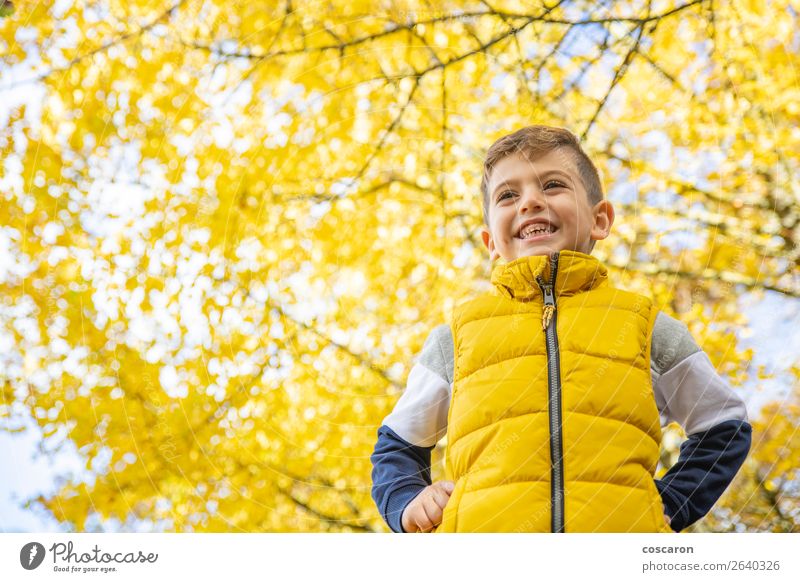 Cute kid against a yellow tree in autumn Lifestyle Joy Happy Beautiful Leisure and hobbies Freedom Child Human being Baby Toddler Boy (child) Man Adults Infancy