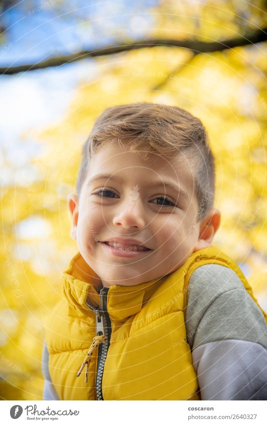Cute kid against a yellow tree in autumn Lifestyle Joy Happy Beautiful Leisure and hobbies Vacation & Travel Freedom Child Human being Baby Toddler Boy (child)
