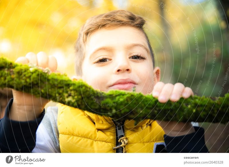 Beautiful child with a yellow vest in the forest in autumn Lifestyle Joy Happy Face Playing Vacation & Travel Child Human being Baby Toddler Boy (child) Man